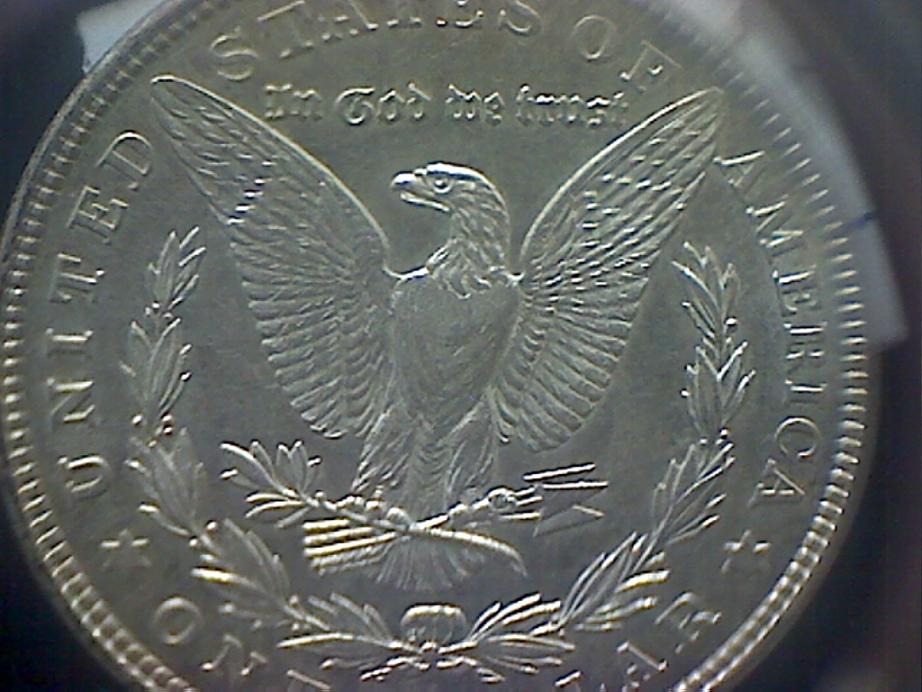 Grade-My-Morgans